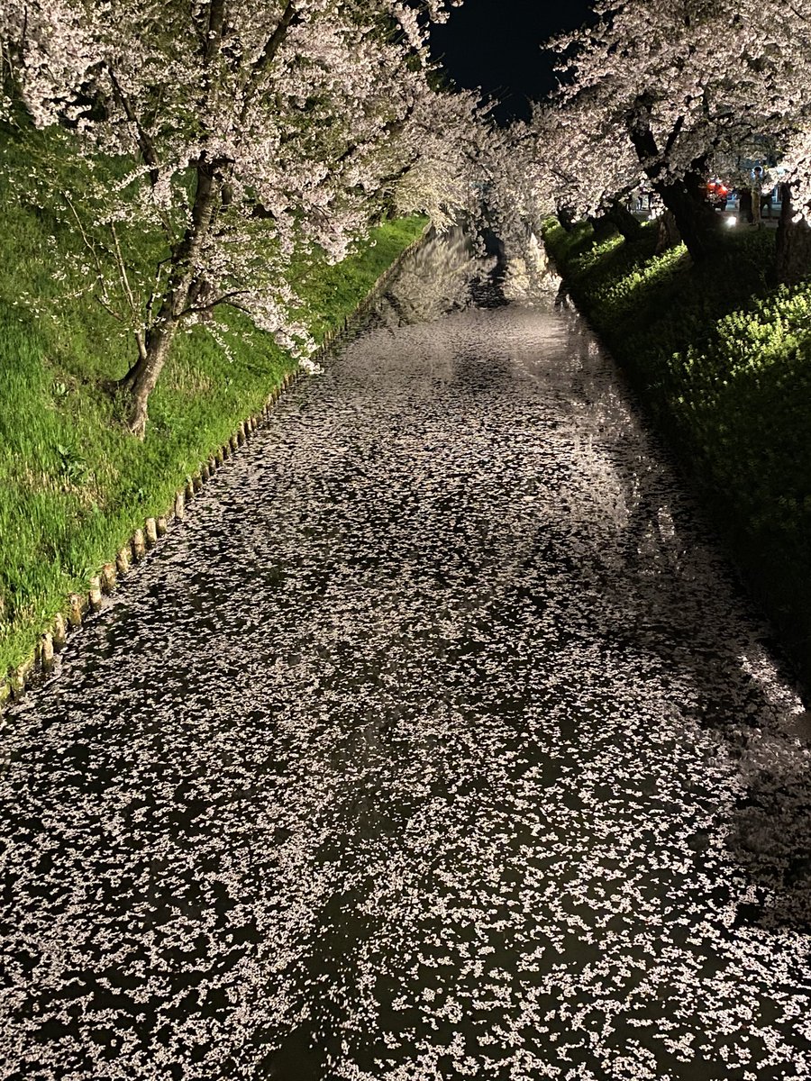 秋田山王男 tweet media