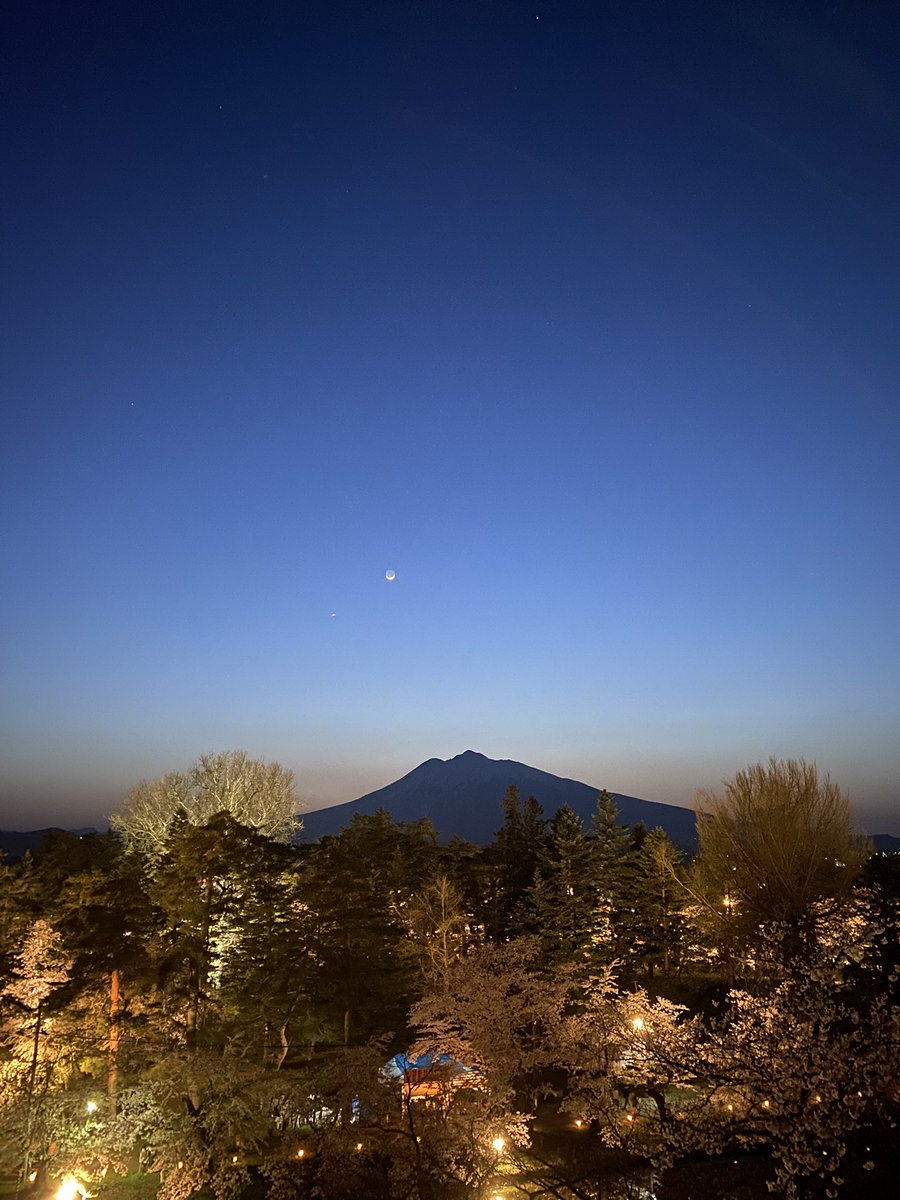 秋田山王男 tweet media