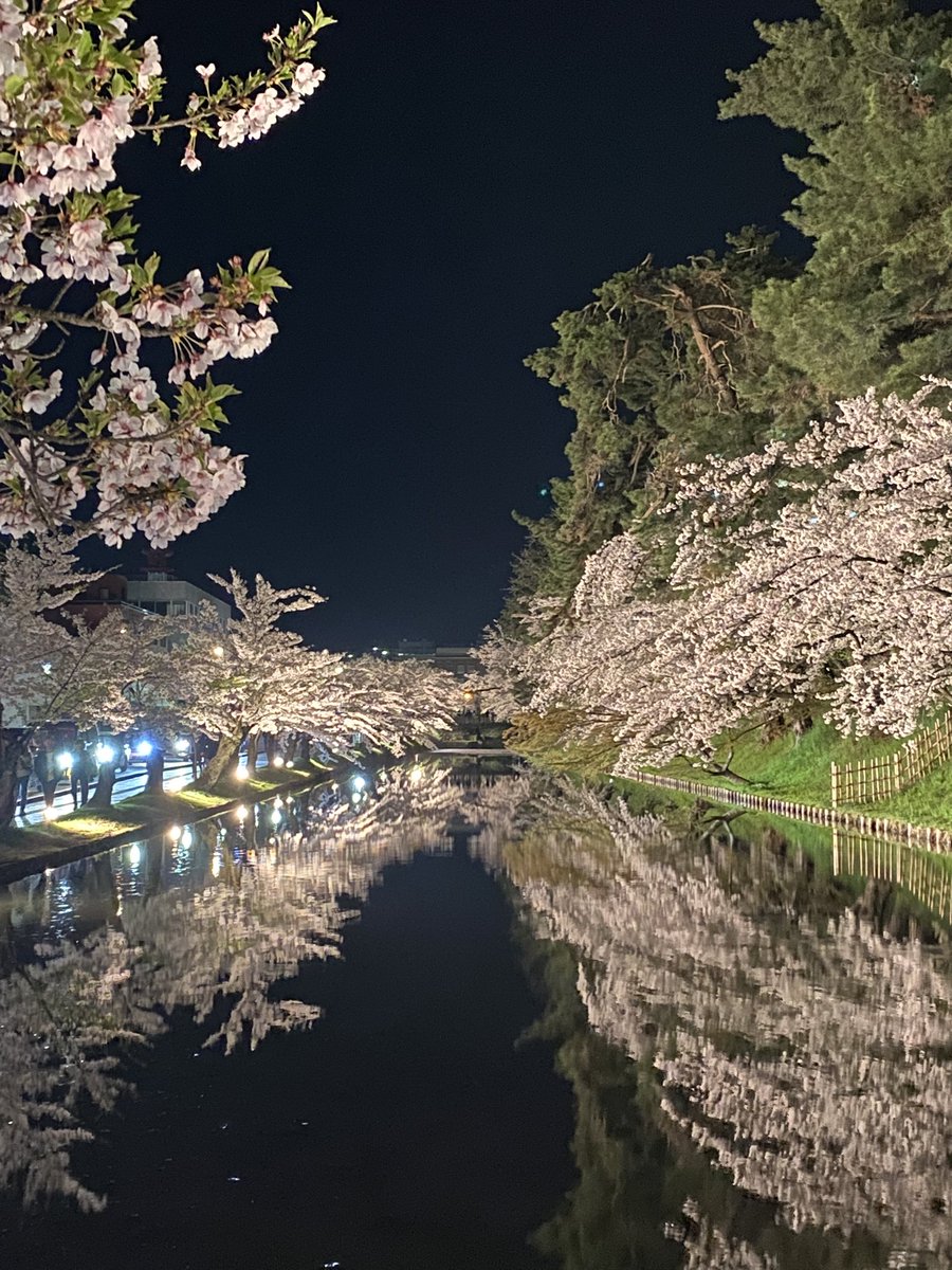 秋田山王男 tweet media