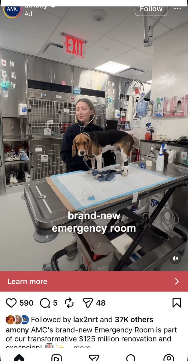 CapeFloy's tweet image. Martha Stewart sits waiting on a couch she picked in Floy’s apartment petting her Diego Rivera when she gets back from warm water physical therapy any second now. 
And, that’s never going to happen because the toddler on the fridge is with Geojj. 
#Jeffrey #monster #help