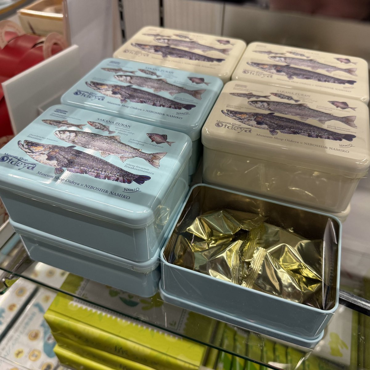 petitpoissonami's tweet photo. 滋賀県立琵琶博博物館ミュージアムショップ『おいでや』さまで、平面水族館が再登場🐟✨

おいでやさまでは、コラボ魚図缶(チョコクランチ)や、コラボグラス、NAMIKOグッズも置いていただいてます🐟✨

博物館へお越しの際は、ぜひミュージアムショップものぞいてみてくださいね🐟💙

#平面水族館 https://t.co/Reqr7edga6