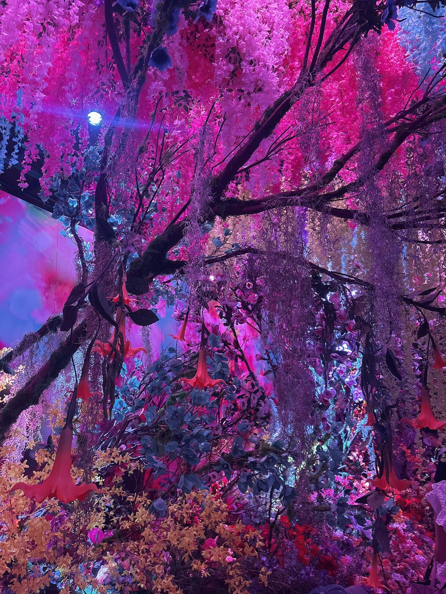 EnEn👩🏻‍💼 tweet media