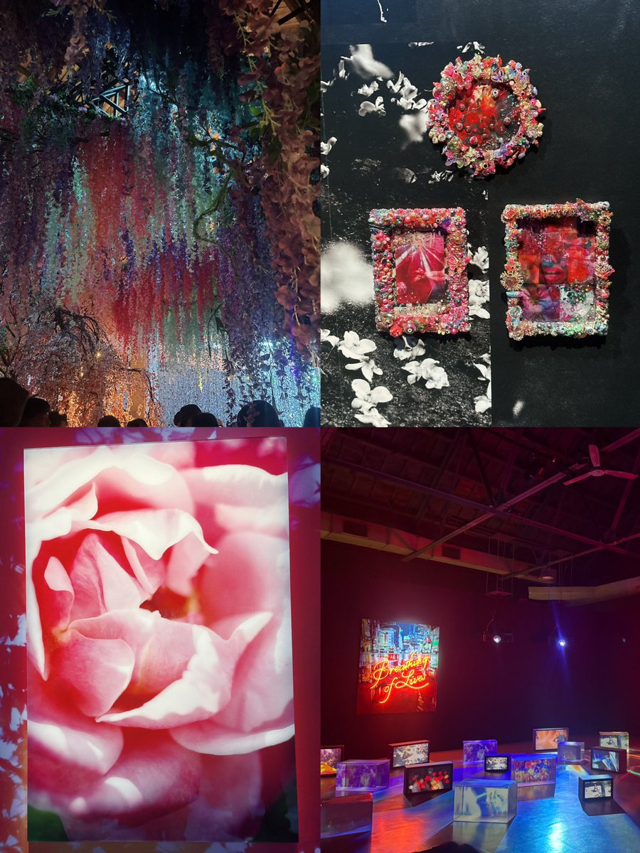 EnEn👩🏻‍💼 tweet media