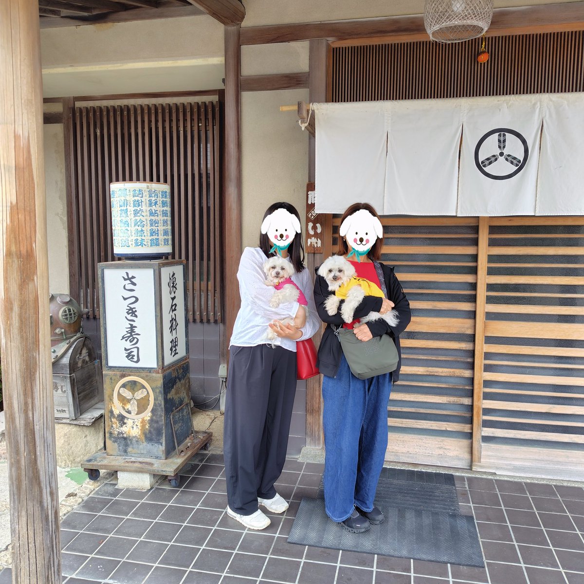 TANISHI_magic's tweet image. お昼は、座敷犬OKのさつき寿司で地にぎり。むぎともちにはおっとっとを。
#元保護犬 #マルチーズ #maltese #むぎともち #淡路島