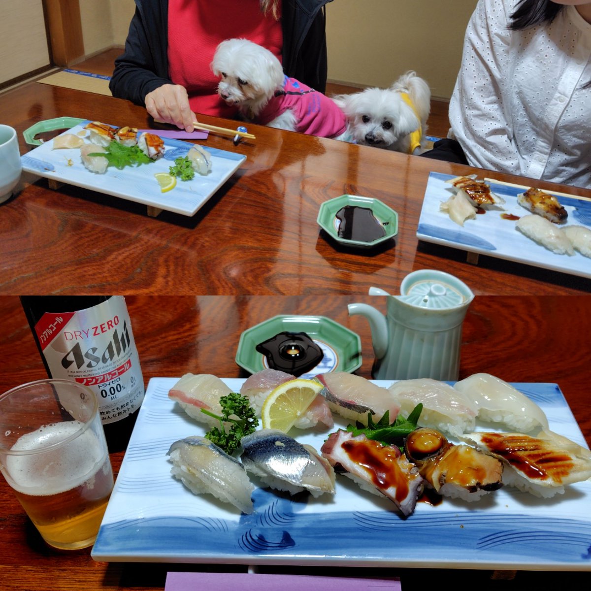 TANISHI_magic's tweet image. お昼は、座敷犬OKのさつき寿司で地にぎり。むぎともちにはおっとっとを。
#元保護犬 #マルチーズ #maltese #むぎともち #淡路島