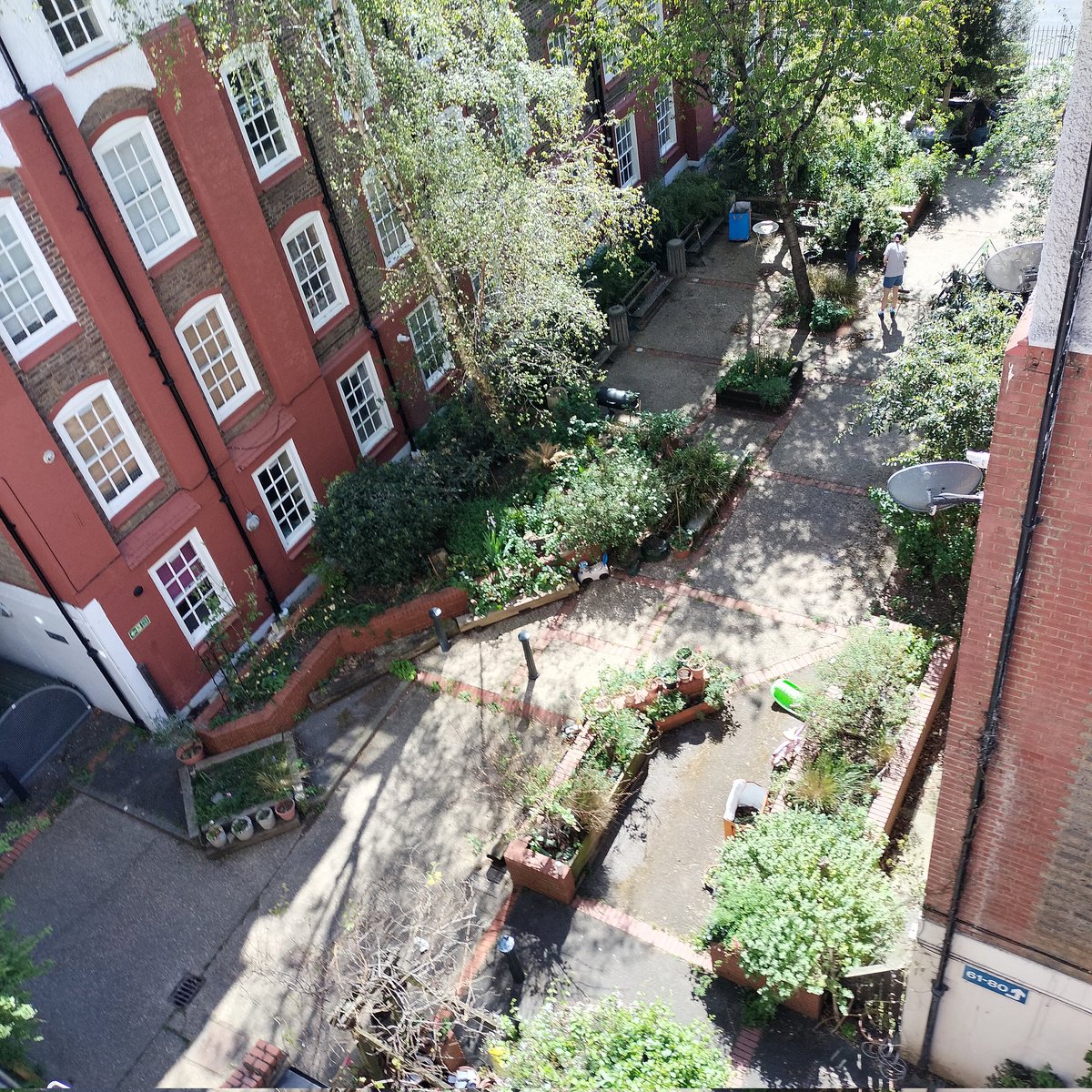 Sheila Suso-Runge (Cllr) tweet media