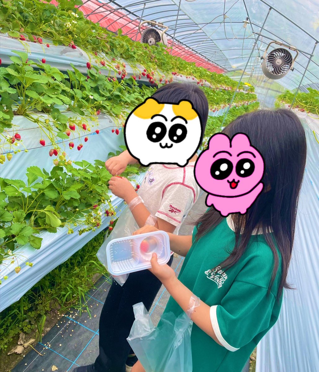 魔秘子 tweet media