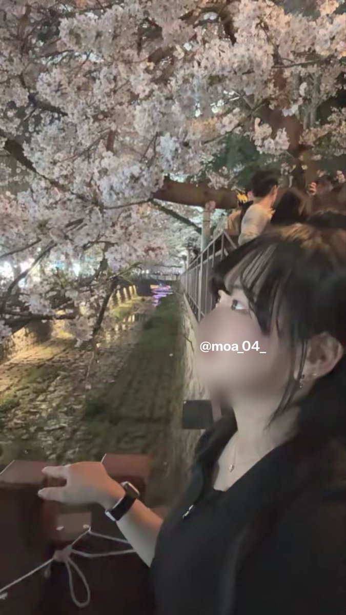 모아_ tweet media