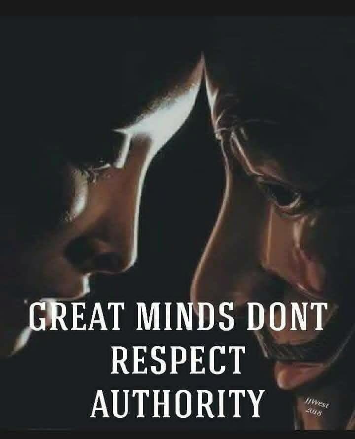 Free Rider tweet media