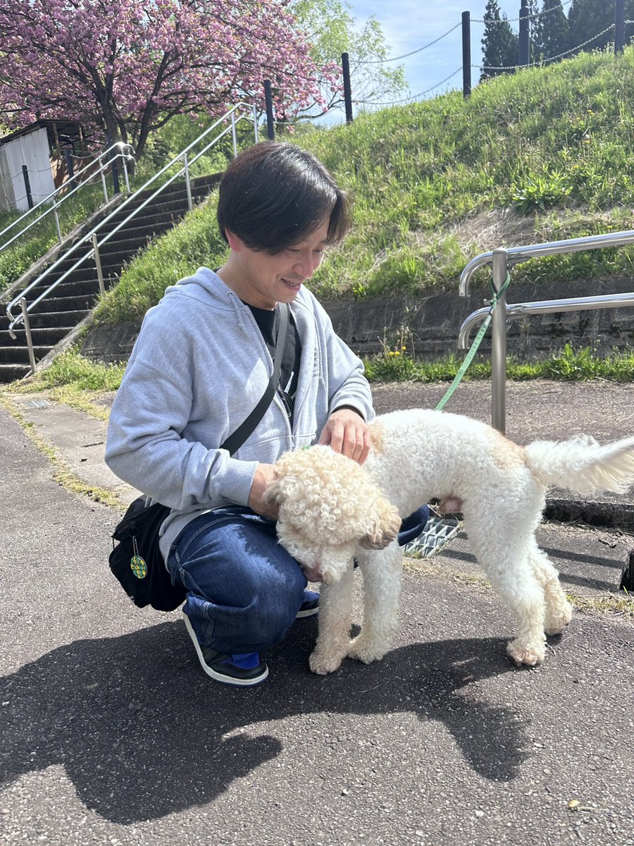 からしハム🕊 tweet media