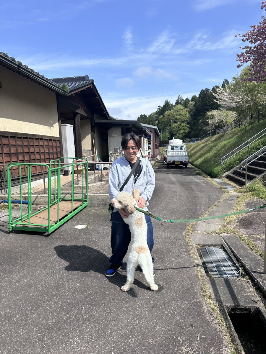 からしハム🕊 tweet media