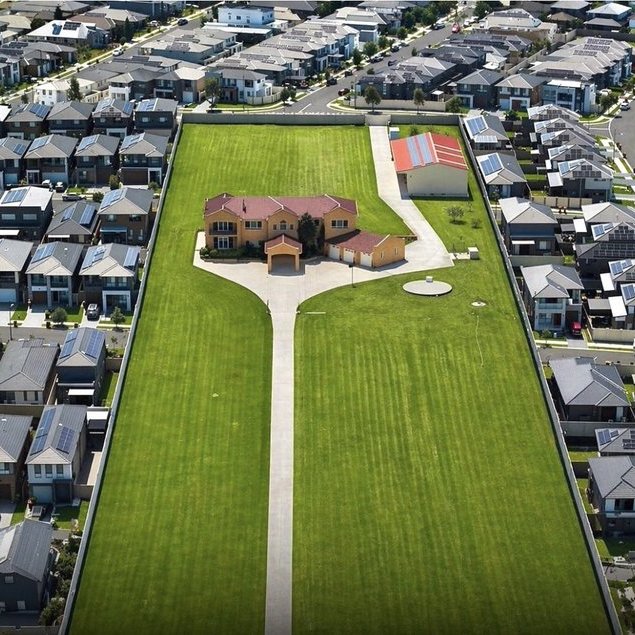 Cultination tweet media