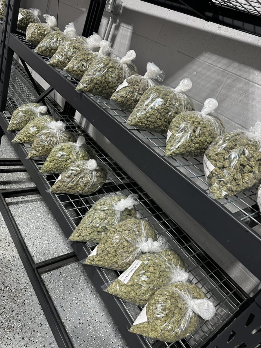 trappwithoffline_Cannabis tweet media