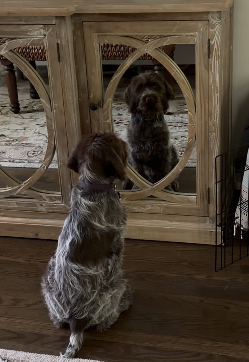 Phil Holloway ✈️ tweet media