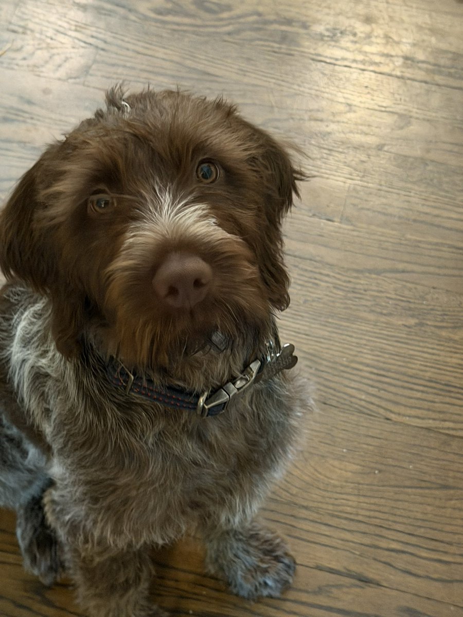 Phil Holloway ✈️ tweet media