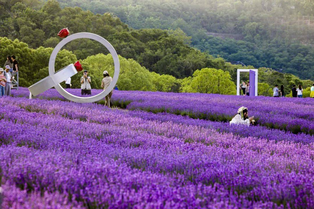 Anuradha tweet media