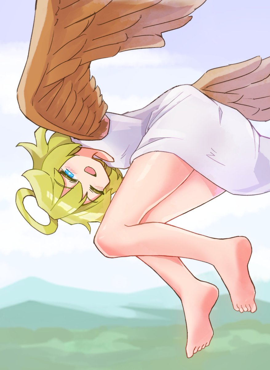 もみやま tweet media