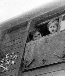 Triinu Kask tweet media