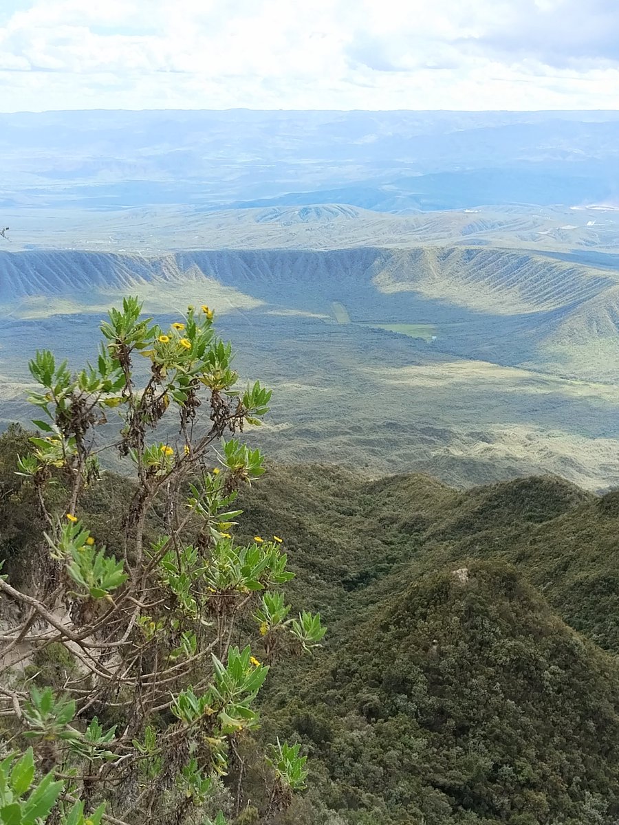 Dansh254gmailc1's tweet image. Kenya is beautiful.
Look at this. 
Out in Nature.