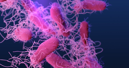 bactiman63's tweet image. #Canada: #Salmonella outbreak linked to #Hamilton, #Ontario restaurant         #StoneyCreek open.substack.com/pub/outbreakne…