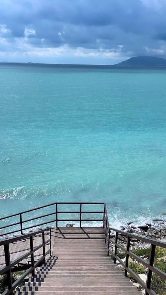 Nature Focus tweet media