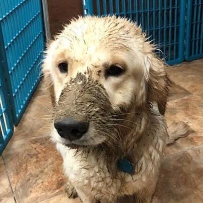 คัยทัมพิ่ ☹️

DAOU RUNNINGMANTH EP9
#RunningManTHEP9