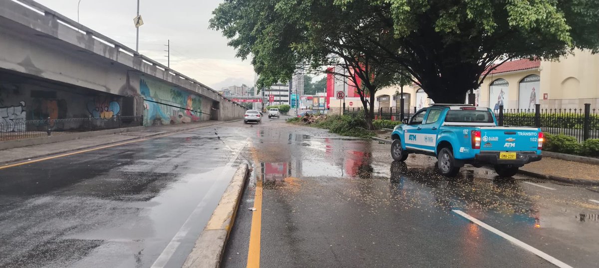 ATM_Transito's tweet image. 📢 Se registra novedad atendida en la Av. Plaza Dañin y Av. Francisco de Orellana, frente al C.C. San Marino, sentido hacia la Av. Las Aguas, debido a la caída de un árbol sobre la calzada.

La vía se encuentra habilitada tras el retiro del obstáculo. Nuestros agentes de la #ATM