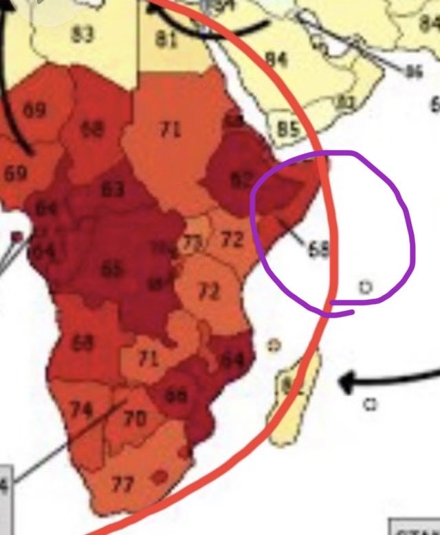 ホワイトRX tweet media