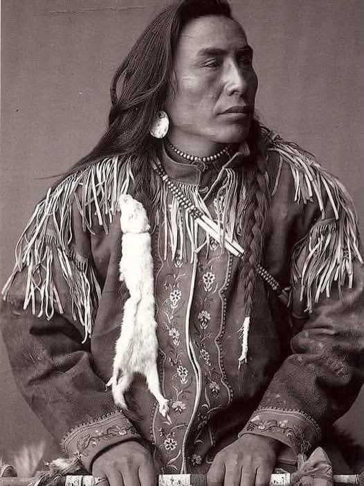 NativeAmerican tweet media