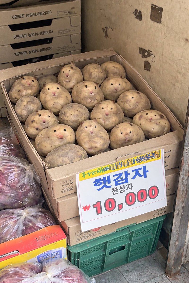 Ten thousand yen for all these potatoes! 🥔