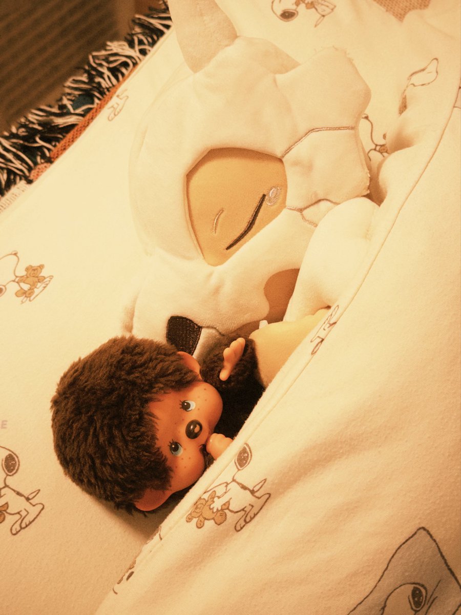 KIKU ｜きくちともこ tweet media