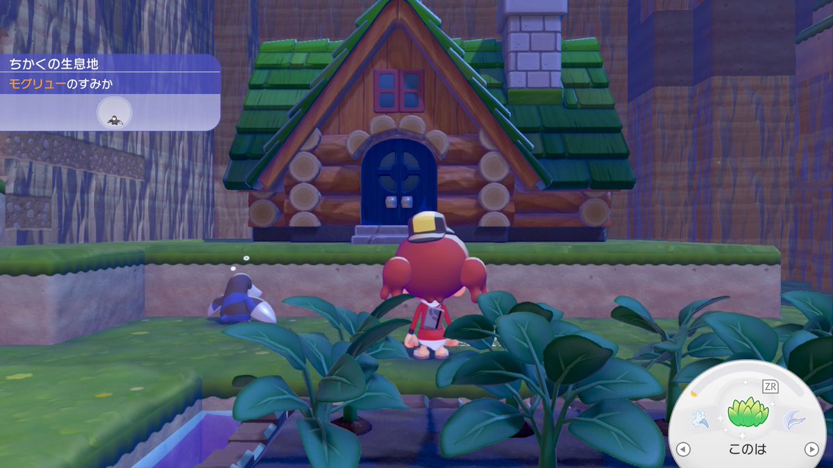 るか@鳴尾浜ふう tweet media