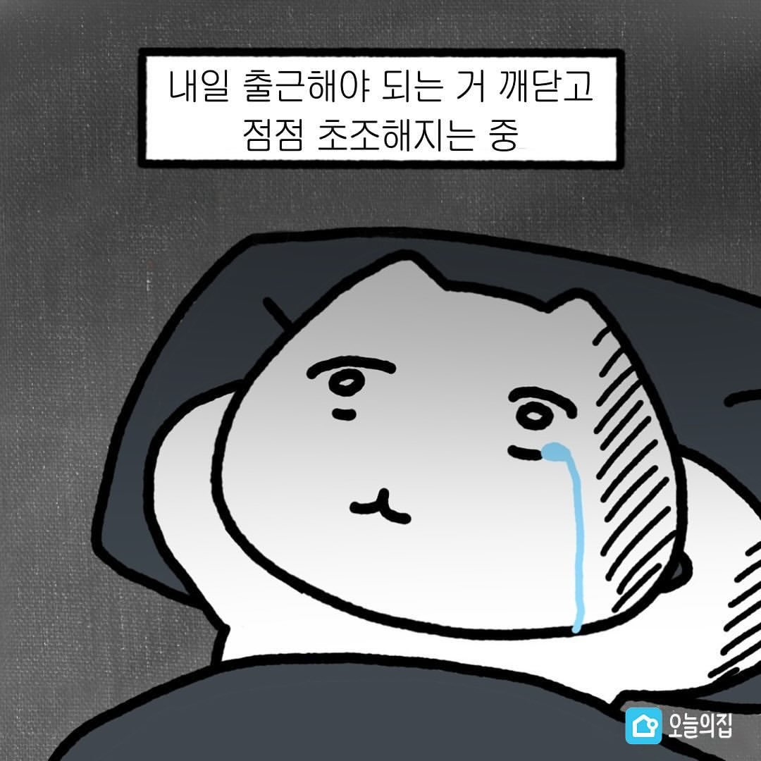♥️김쵸쵸♥️ tweet media