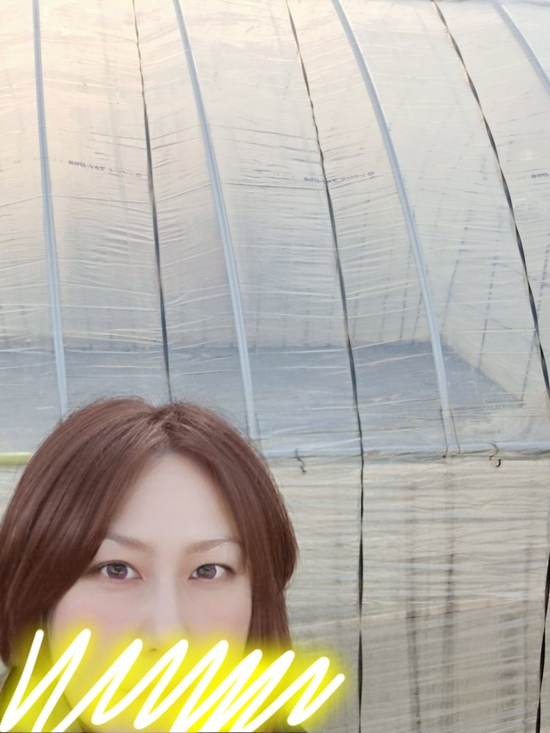 Ｒー博多（秋田） tweet media