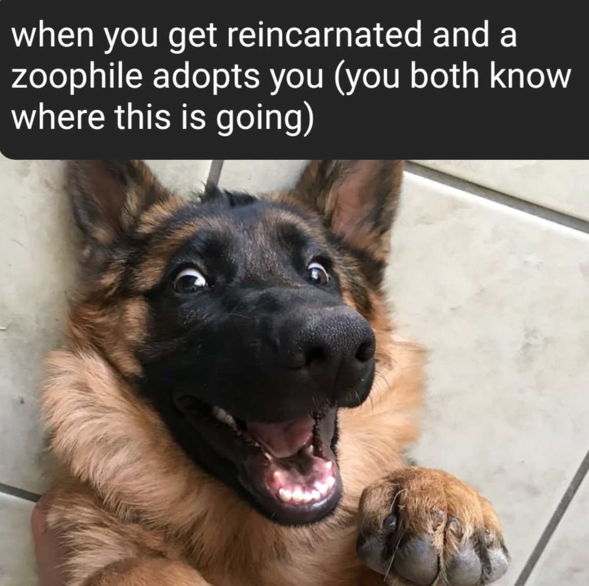 Narugit ζ tweet media