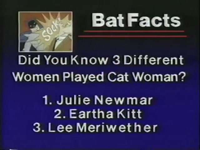 Happy #NationalCatLadyDay!
