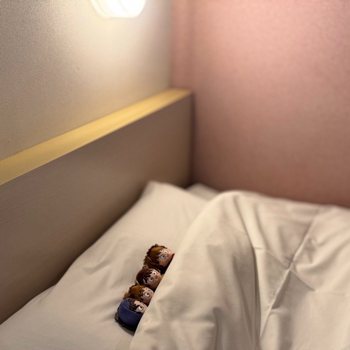 ソヨゴ tweet media