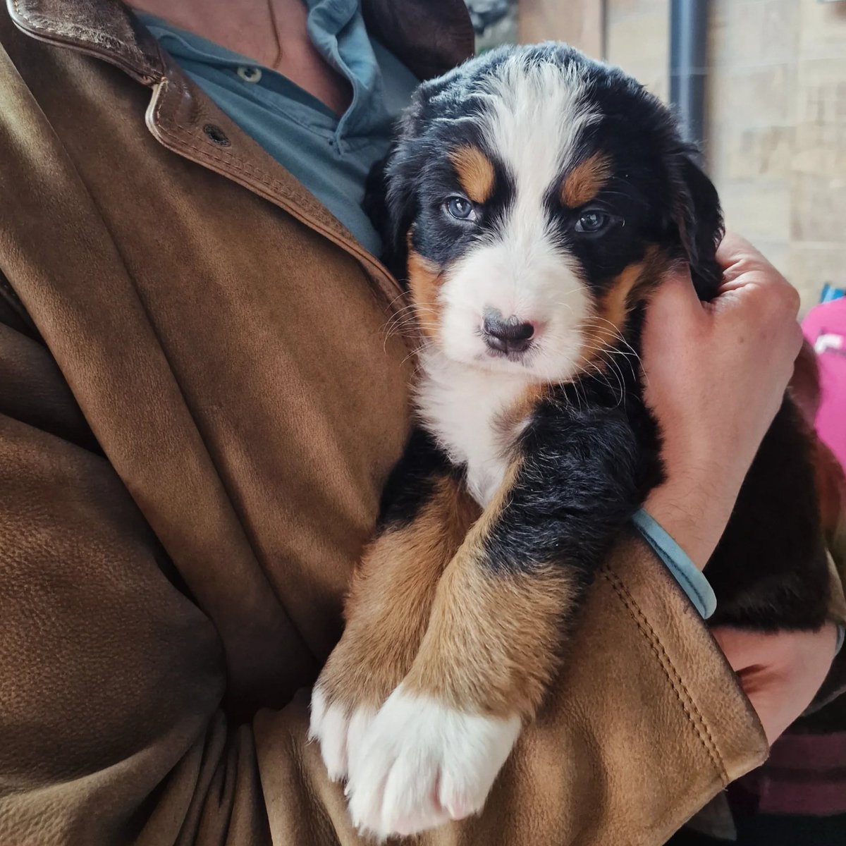 Emma Szewczak tweet media