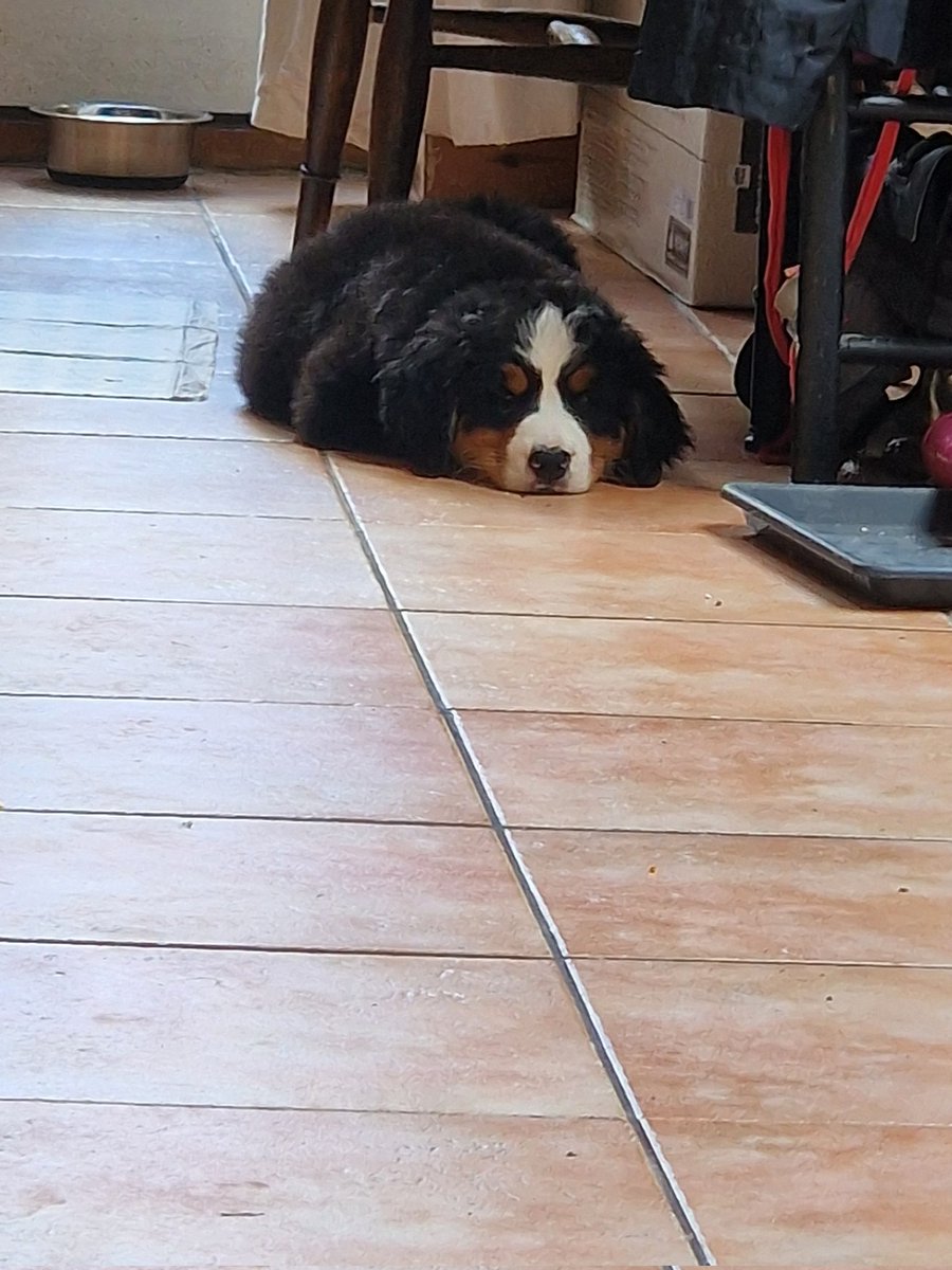 Emma Szewczak tweet media