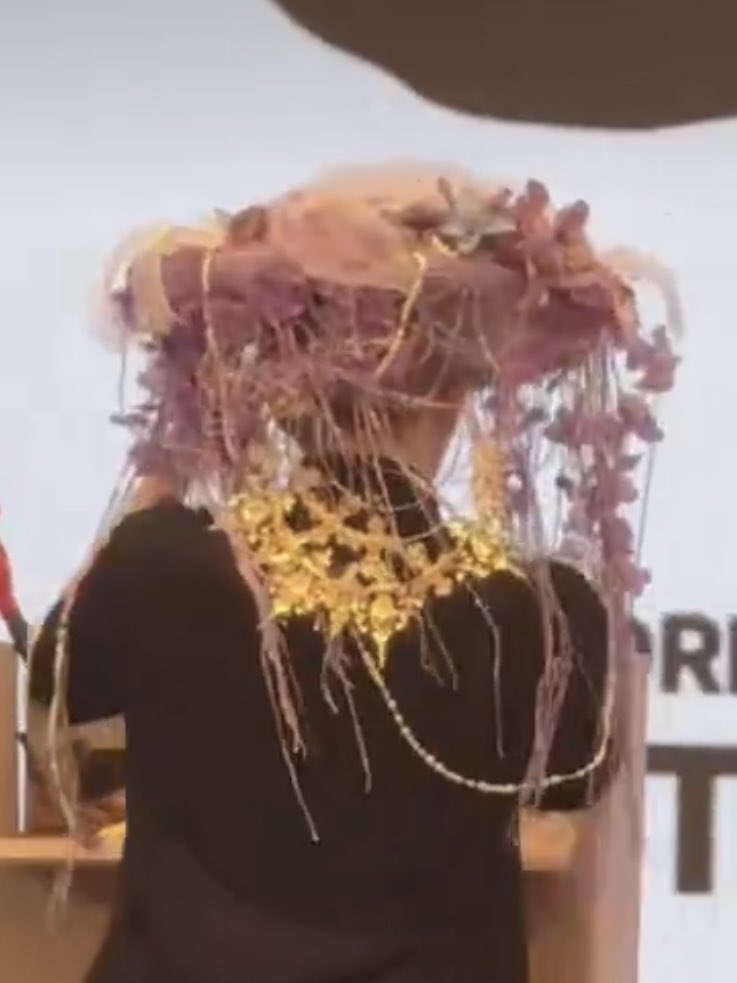 糯糯的北极兔 tweet media