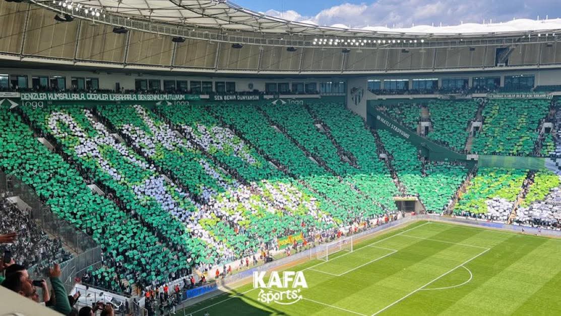 dewe & pankart 🎨 tweet media