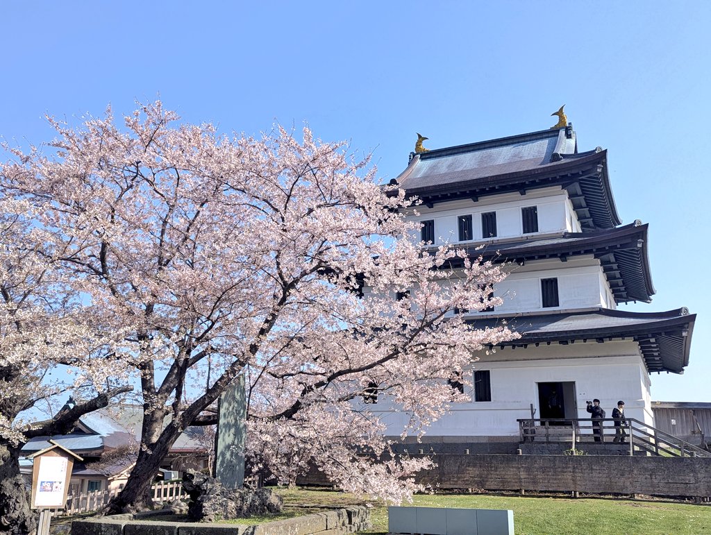 しまざき tweet media