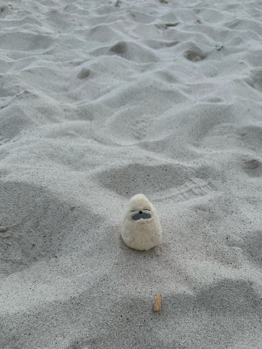 らしお海だよ

#らしおといっしょ