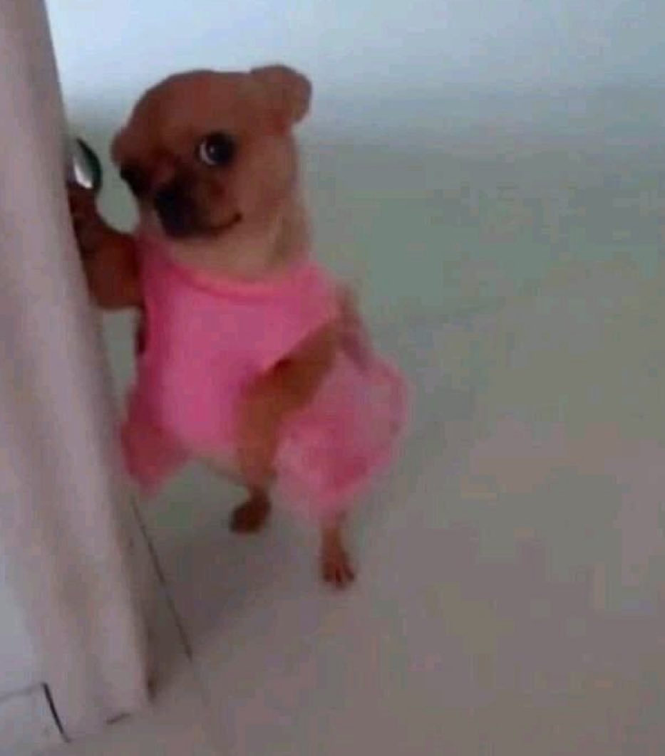 دالــيـا 🤎 tweet media