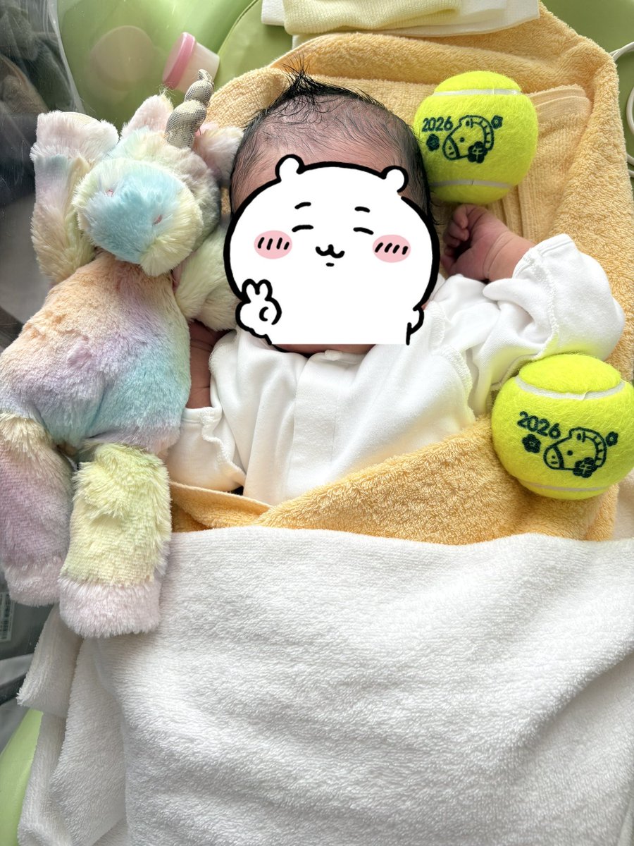 老いこっこてにす🐑👶🎾🥊 tweet media
