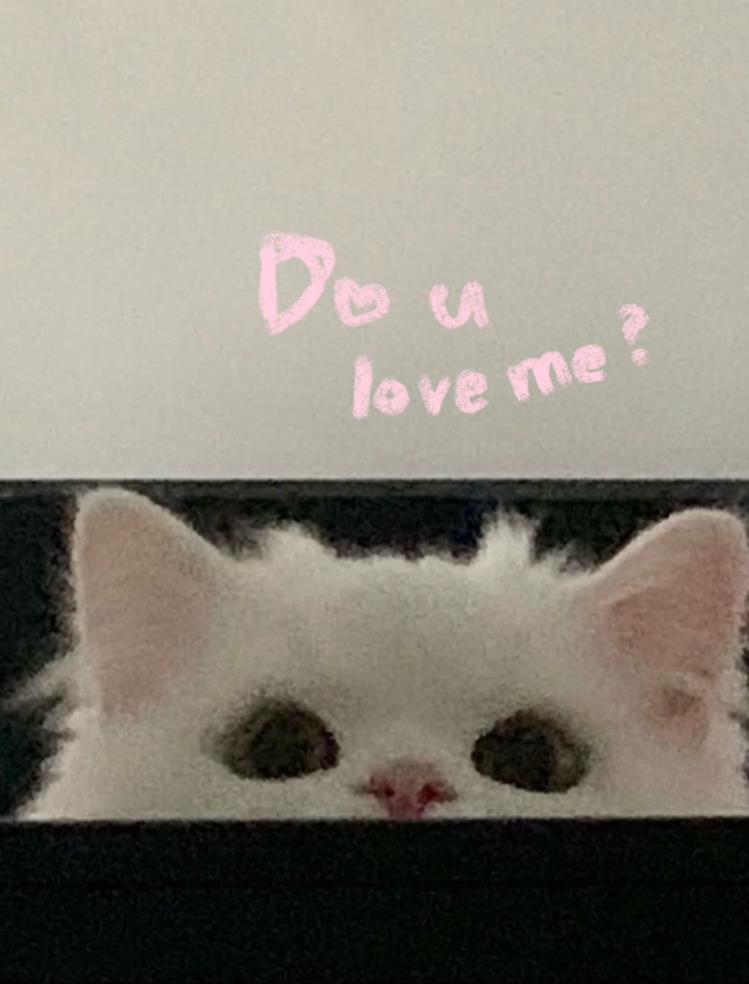 HANHEE FRANCE tweet media