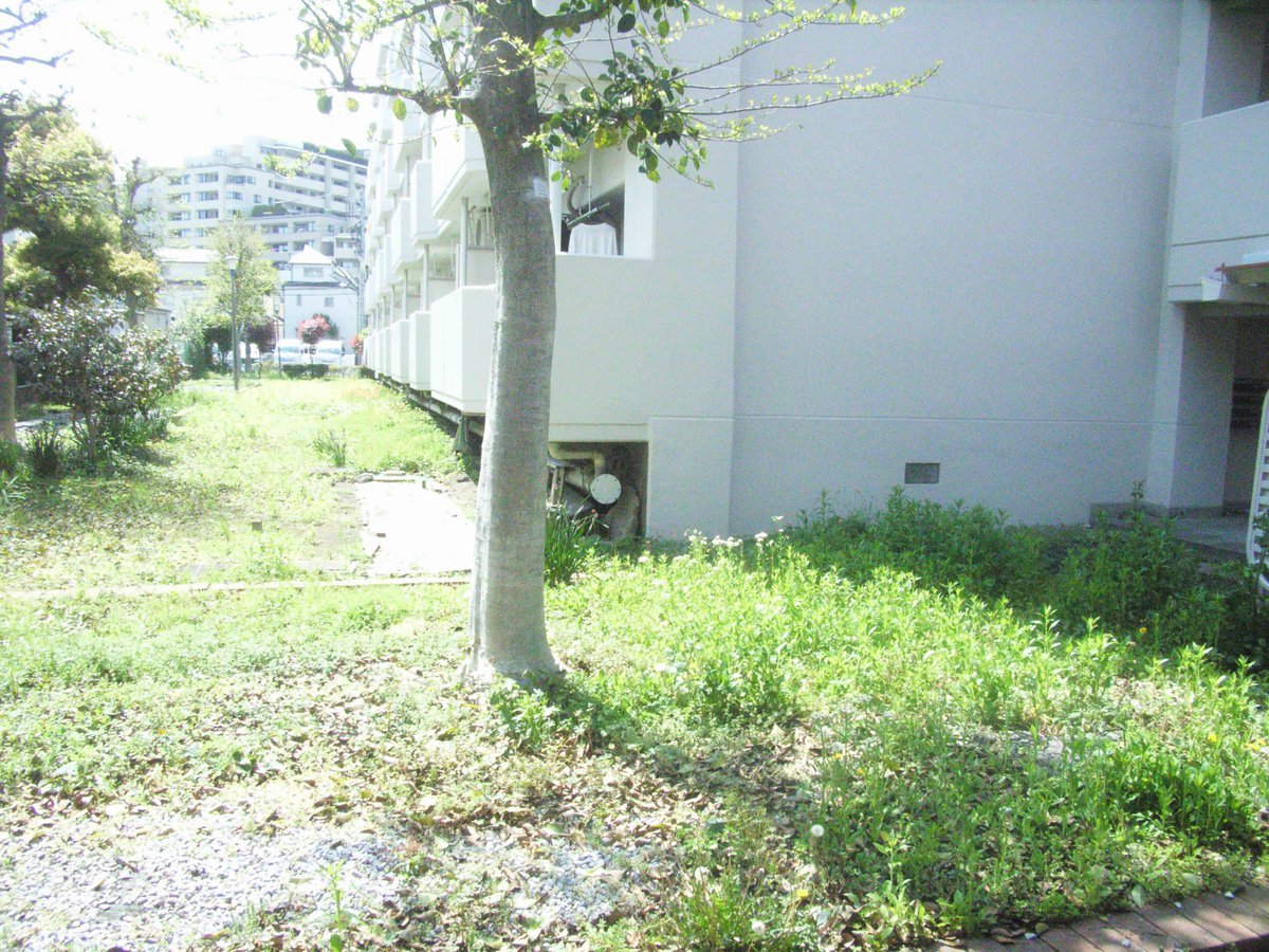 丹下風 tweet media