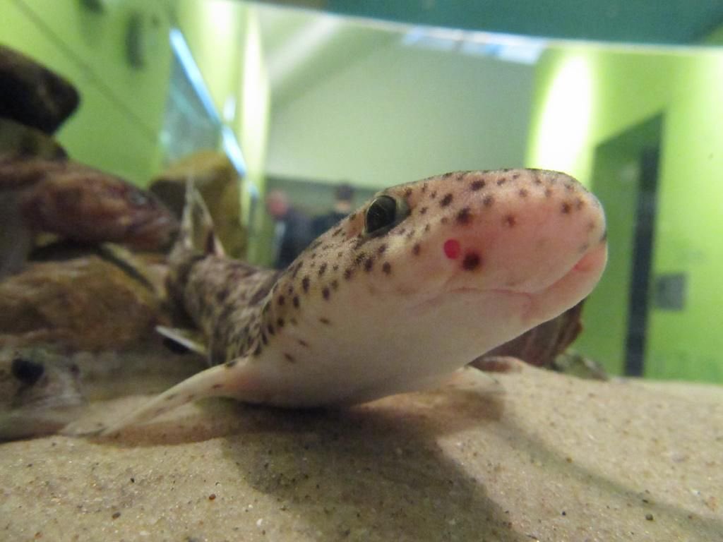 ⚓️, fιᥲ #deepseatwt tweet media