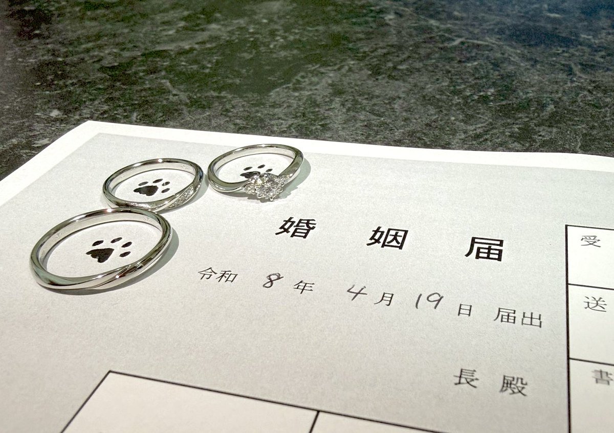 鹿(しか) tweet media