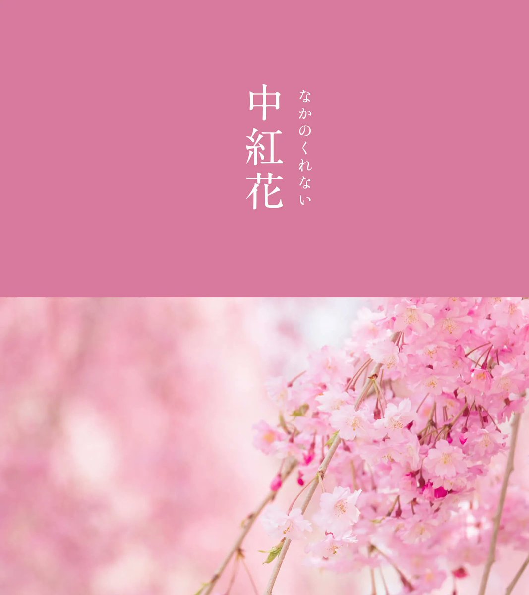 暦生活 tweet media